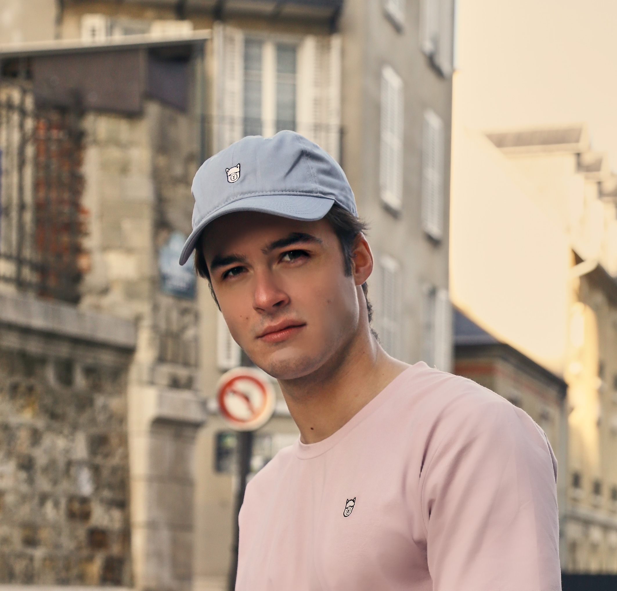 Alpaca Embroidery Dad Cap