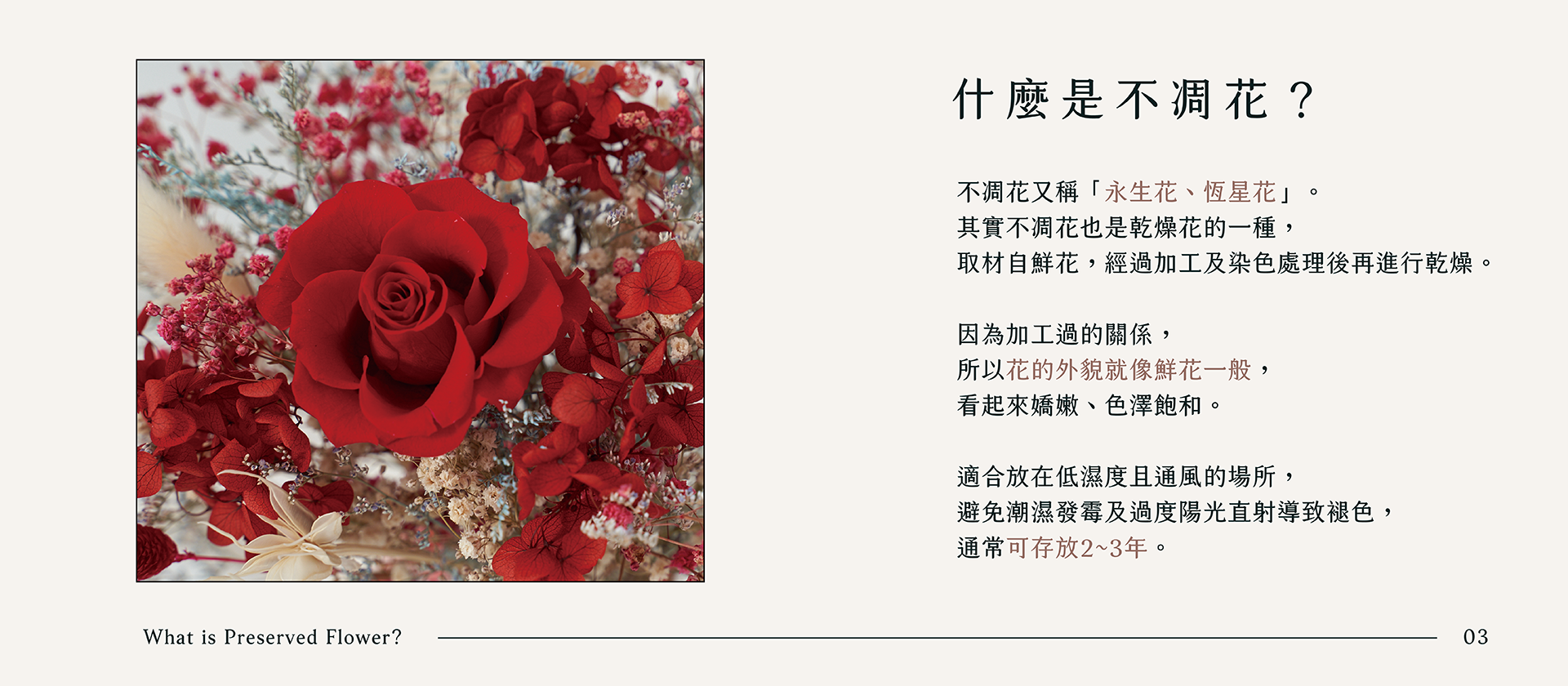 新竹乾燥花店小薇花藝向你介紹什麼是不凋花(永生花)？不凋花如何保存？為什麼不凋花看起來那麼像鮮花呢？