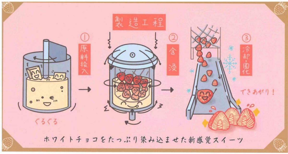 悟櫻堂日本草莓朱古力