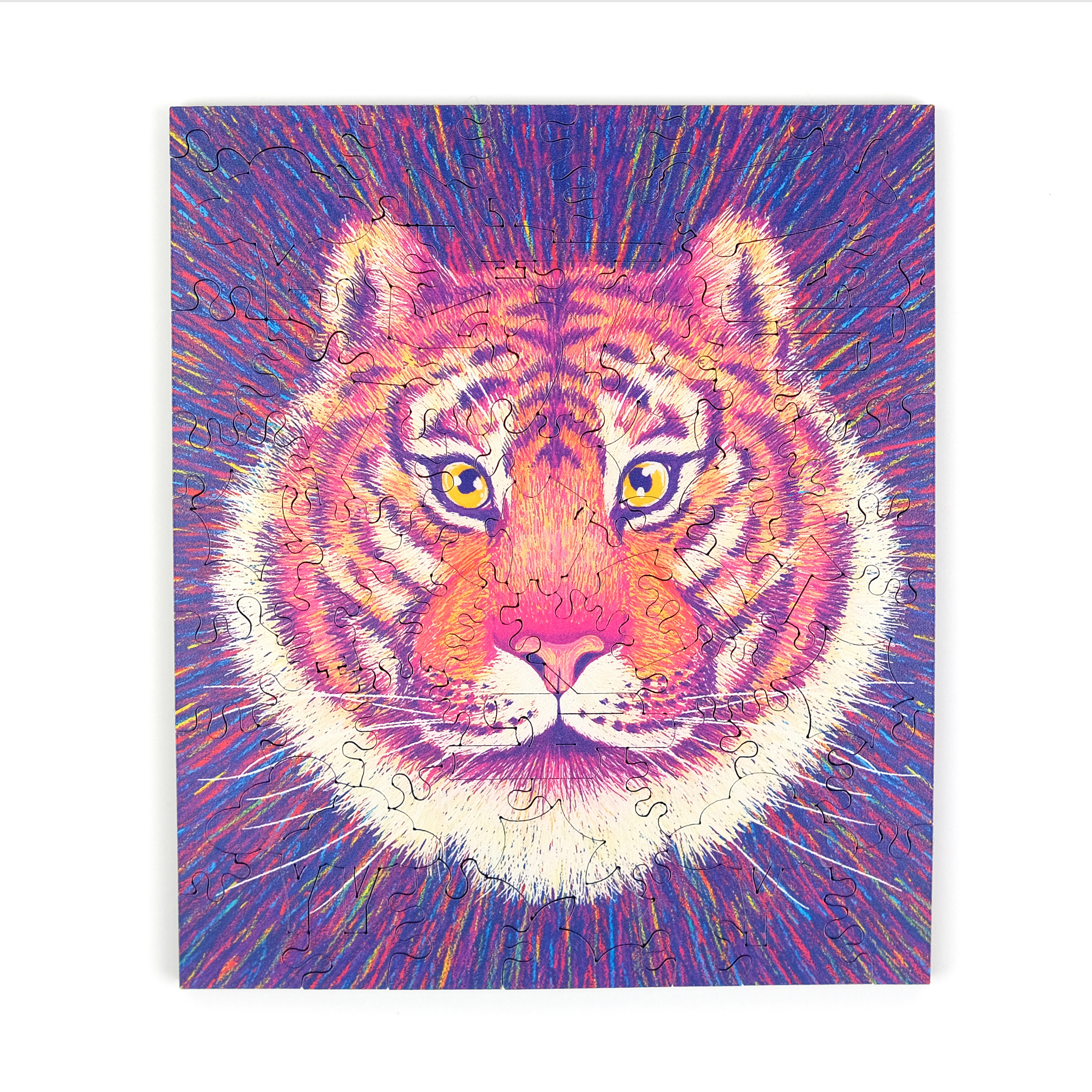 尋獸啟示-孟加拉虎  The Missing Animals-Bengal Tiger