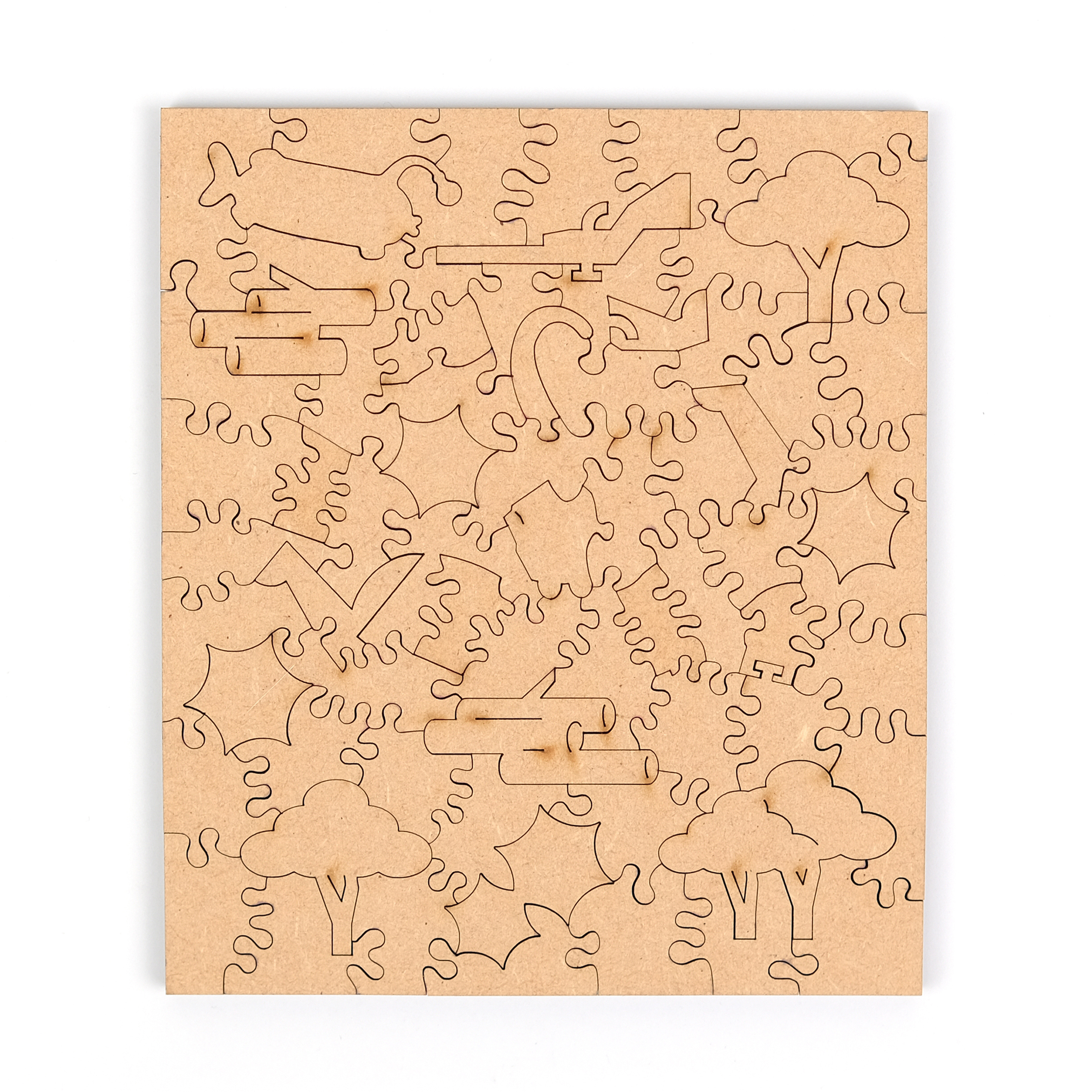 尋獸啟示-孟加拉虎  The Missing Animals-Bengal Tiger