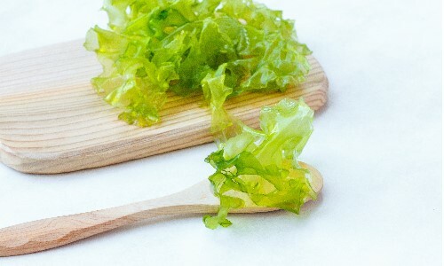 石蓴多醣的六大功效報你知，隱藏在益生菌裡的最強生力軍！