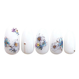 Sha-Nail Petite - PET-004