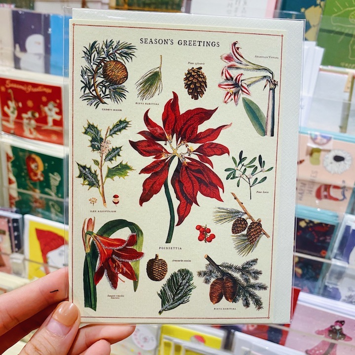 Cavallini  聖誕卡片 聖誕紅