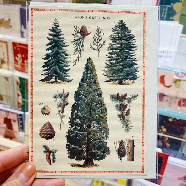 Cavallini  聖誕卡片 季節賀卡 樹木