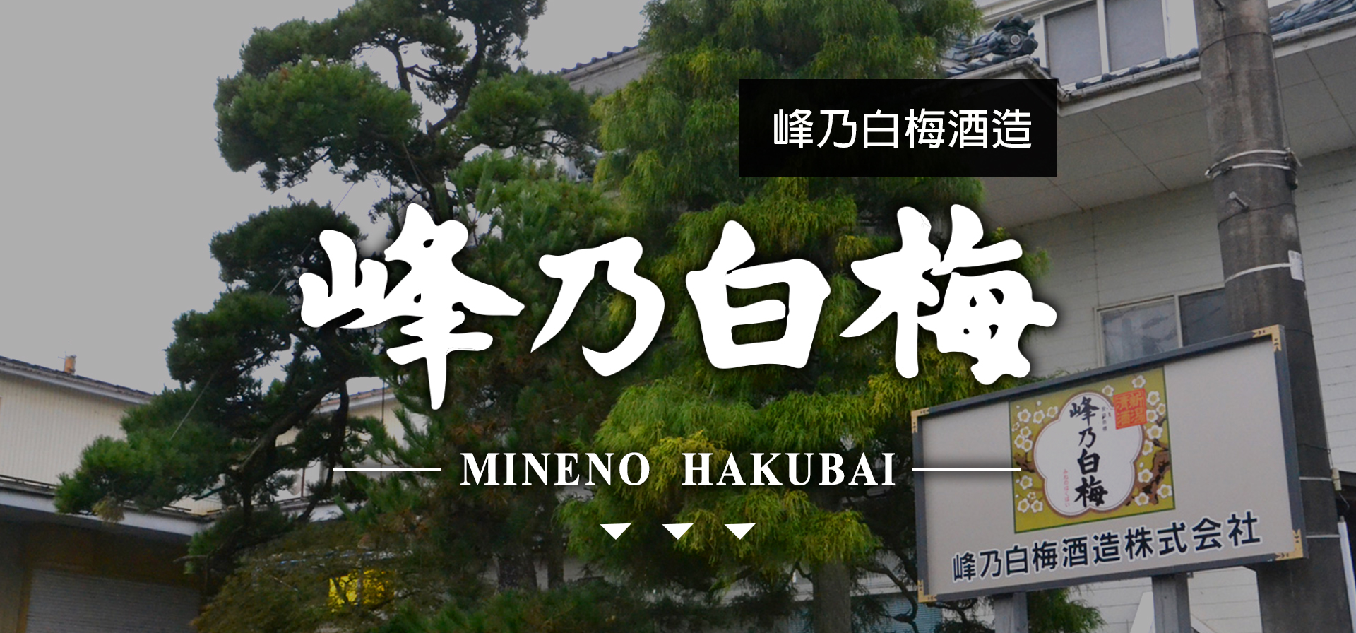 峰乃白梅 MINENO HAKUBAI|AMALL清酒專門店|SAKE|日本酒|酒