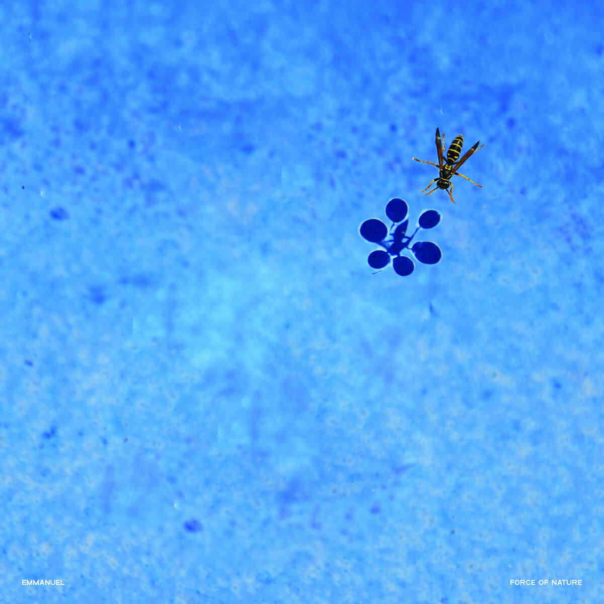 Emmanuel《Force Of Nature》（透明膠2LP）