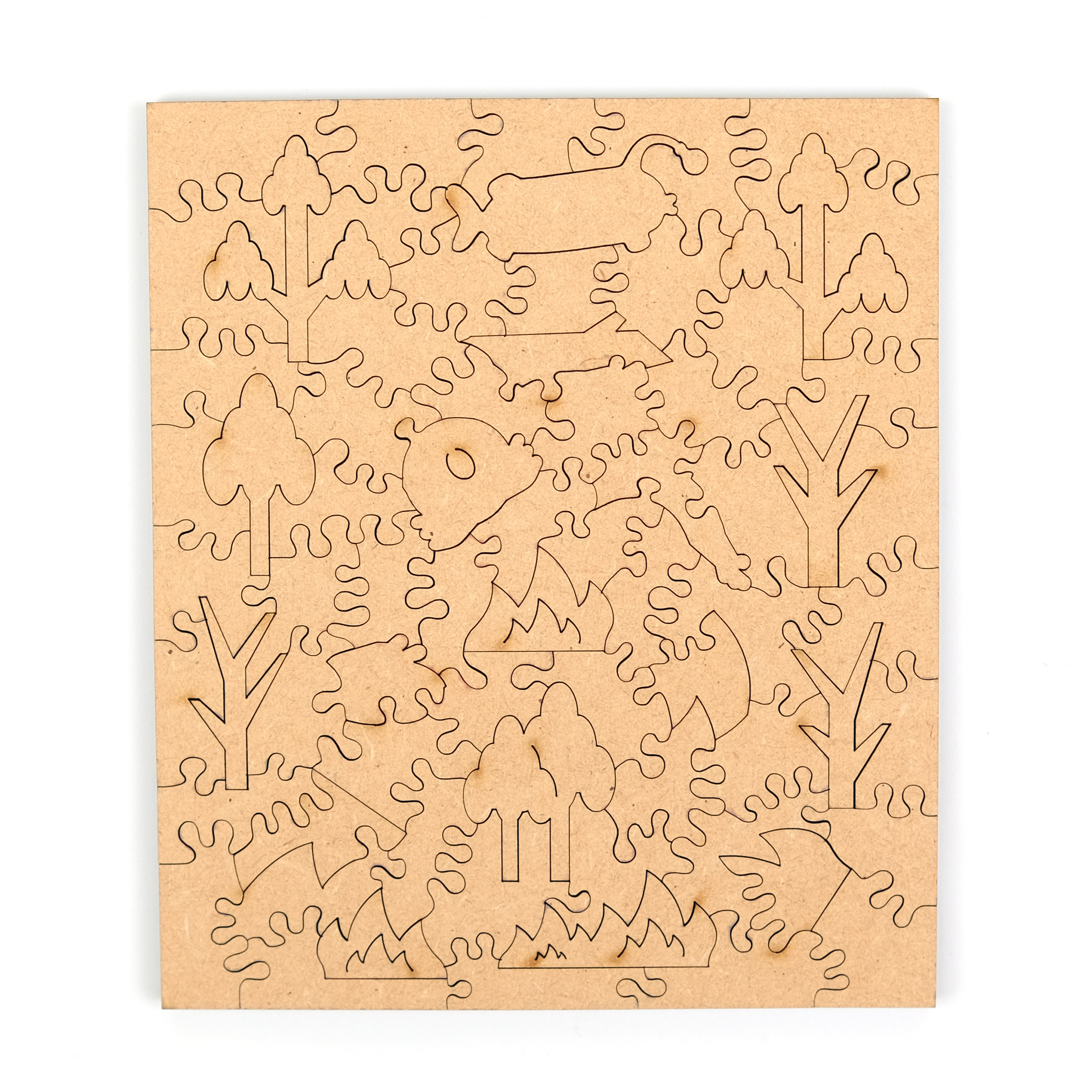 尋獸啟示-無尾熊  The Missing Animals-Koala