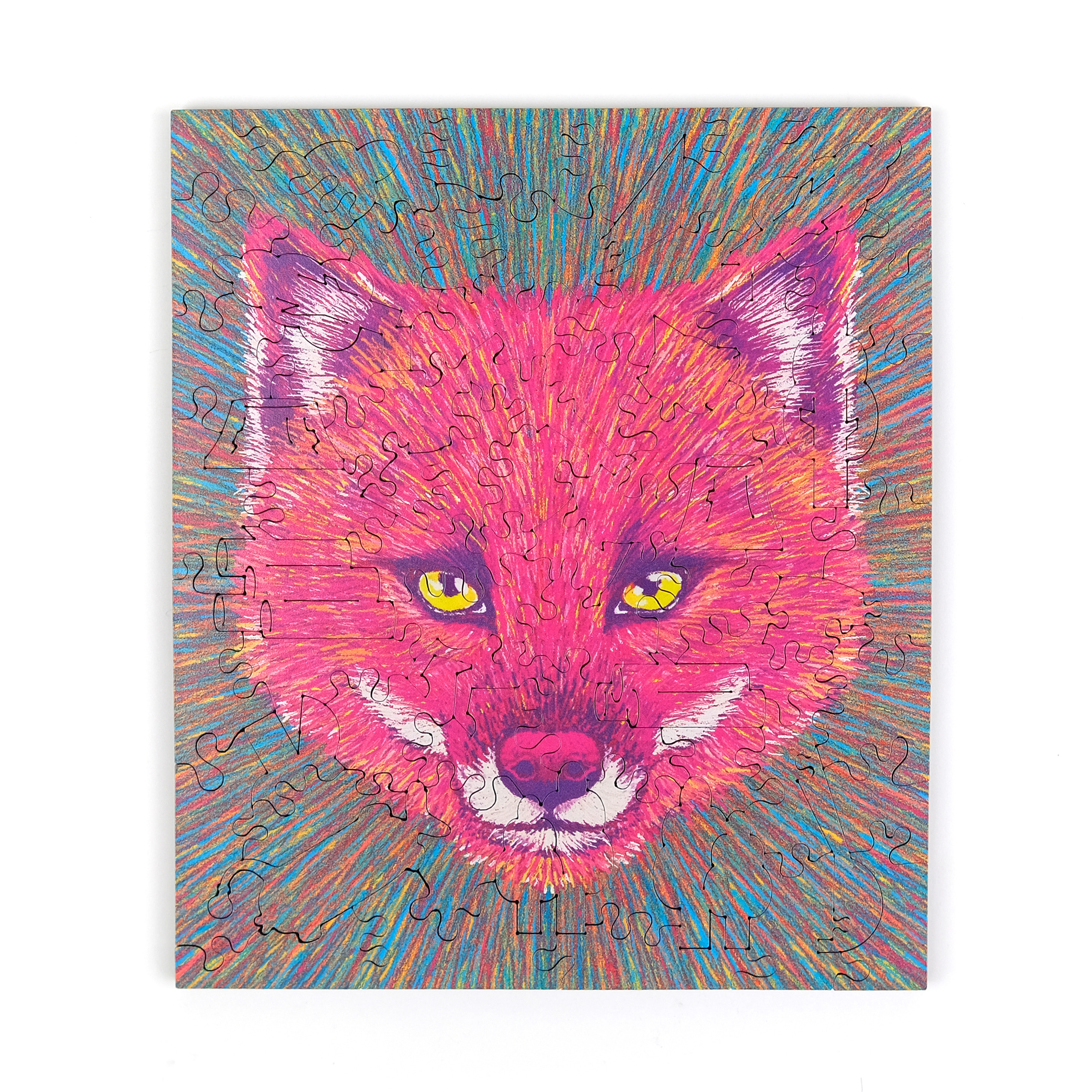 尋獸啟示-達爾文狐  The Missing Animals-Darwin's Fox