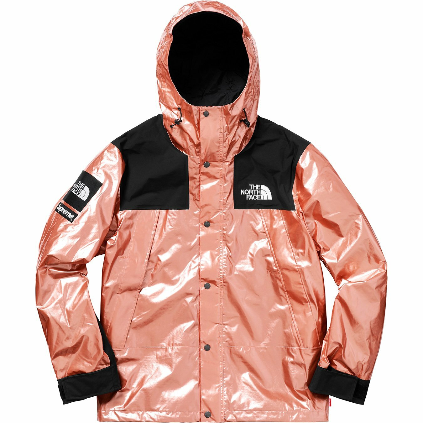 SUPREME X THE NORTH FACE METALLIC MOUNTAIN PARKA