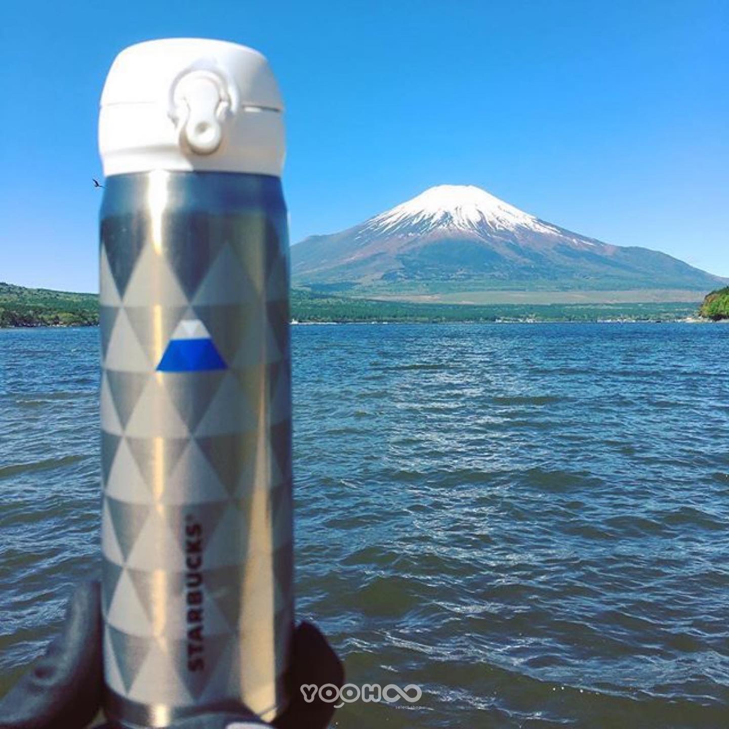 現貨┃日本限定 富士山限定 星巴克 starbucks 富士山 保溫杯 膳魔師 500ml