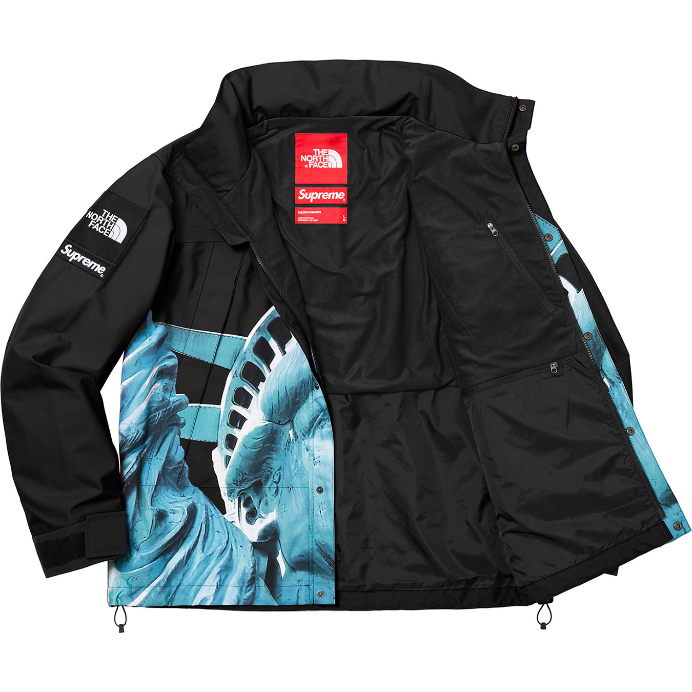 SUPREME THE NORTH FACE STATUE OF LIBERTY MOUNTAIN JACKE