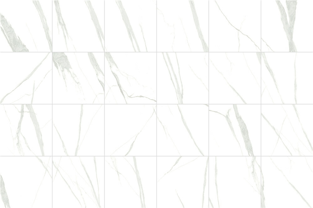 ELV6628