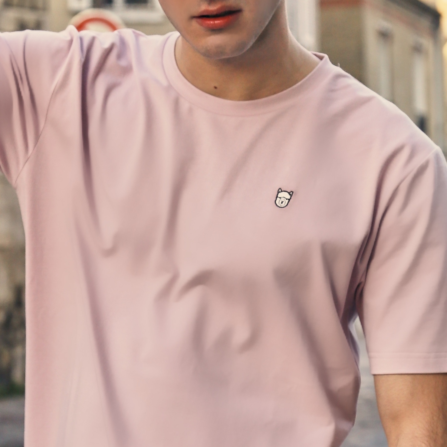 Logo Printed Embroidery