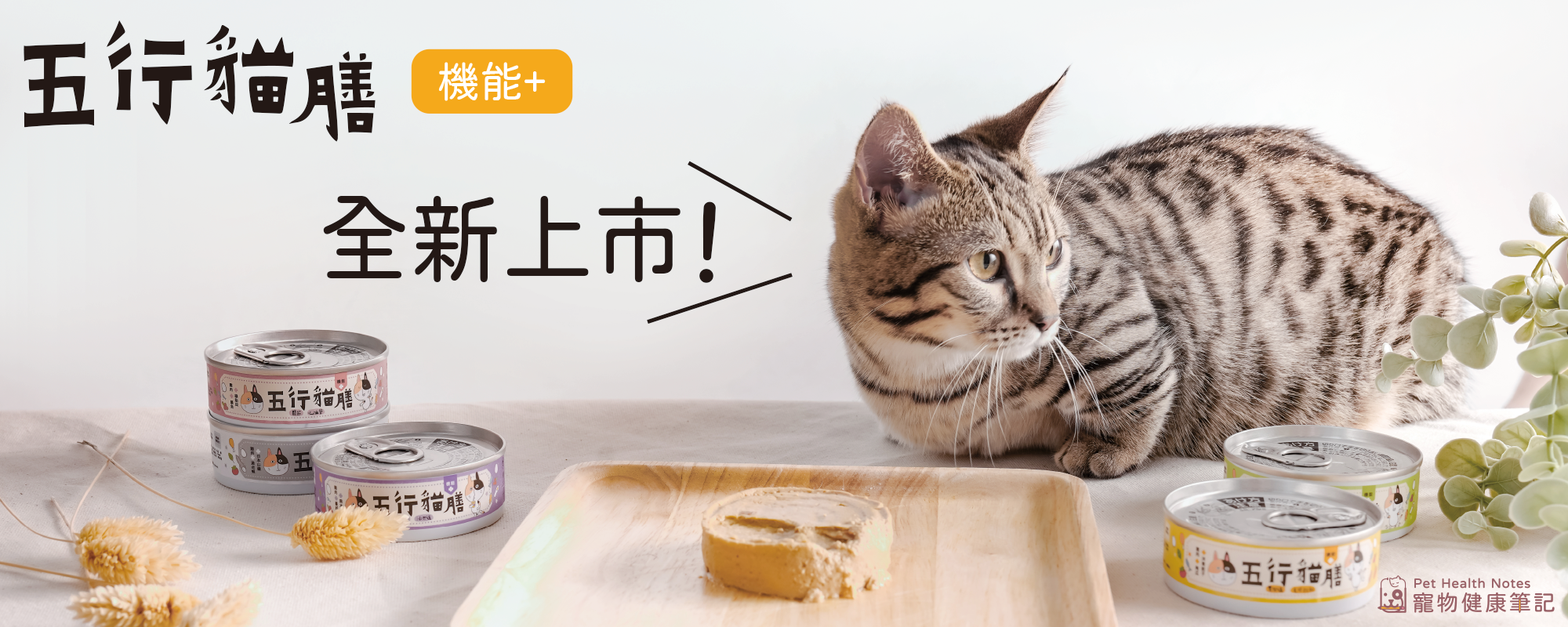 五行貓膳、全新上市、全能貓咪主食罐、營養美味機能、ALLINONE