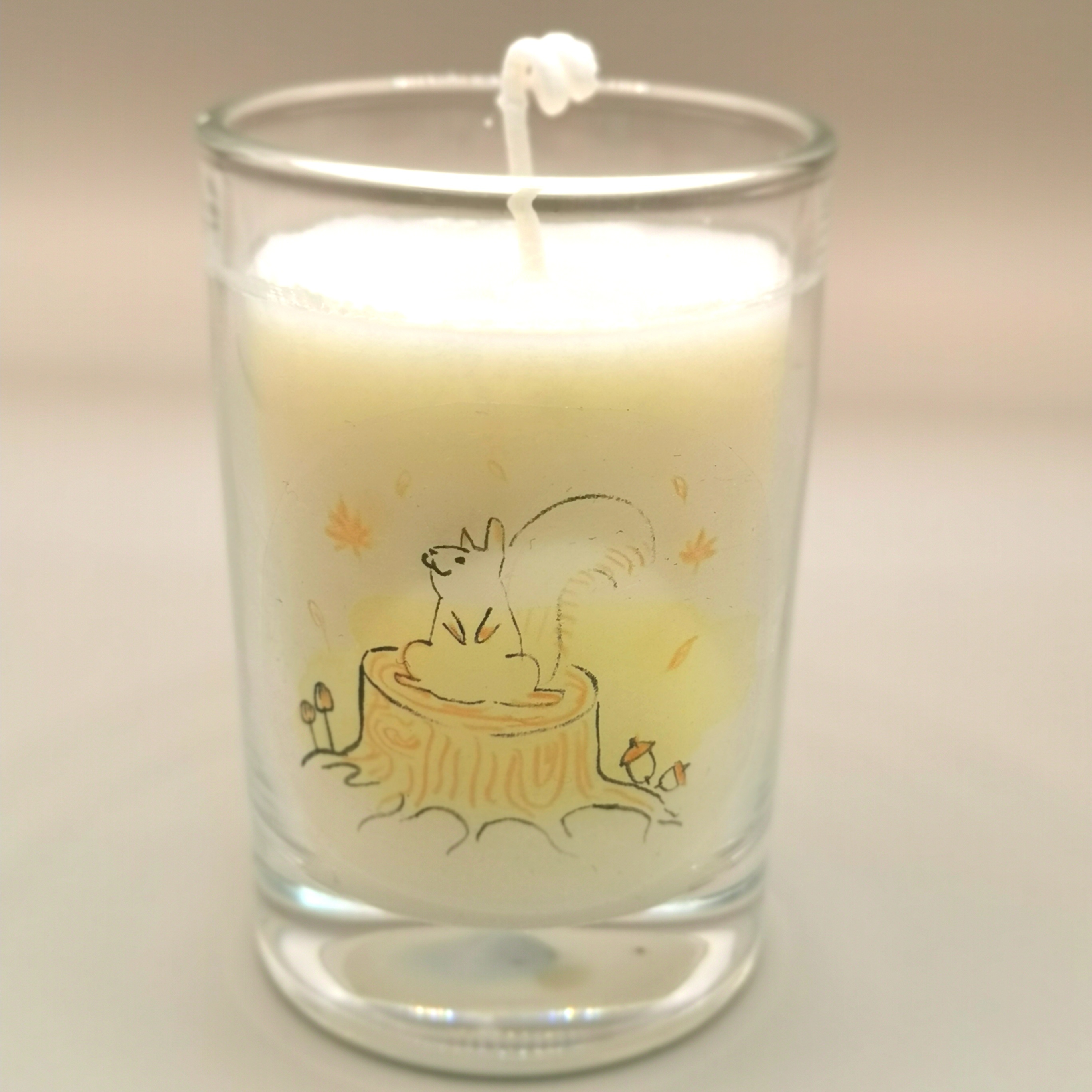 SOY WAX CANDLES