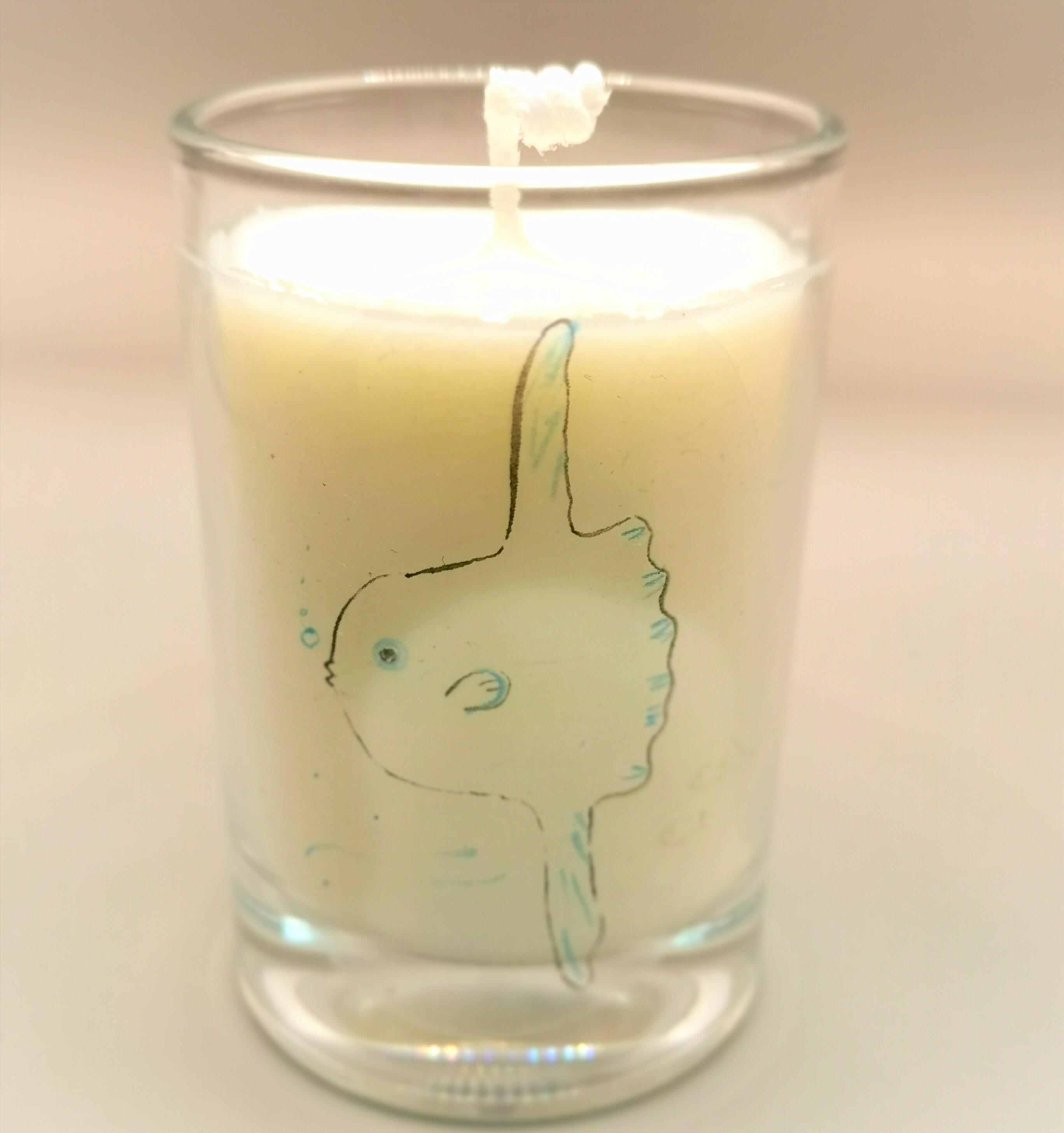 SOY WAX CANDLES