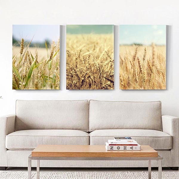 金黃麥田無框掛畫