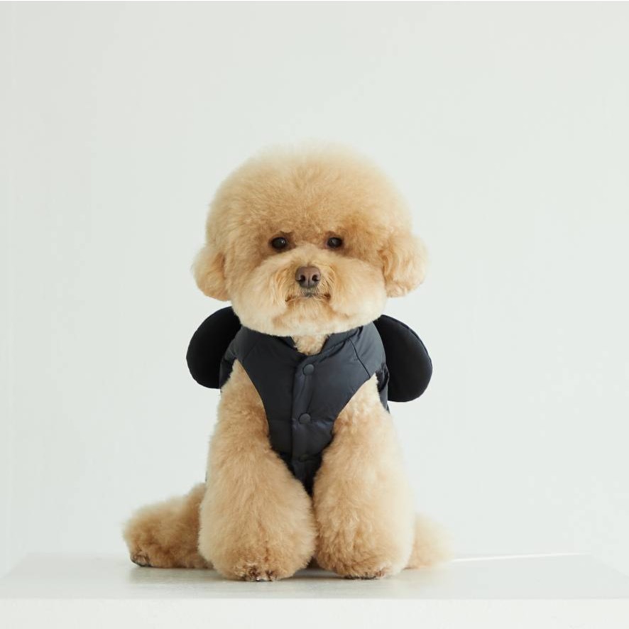 DAN 米奇輕量鋪棉背心 (黑)