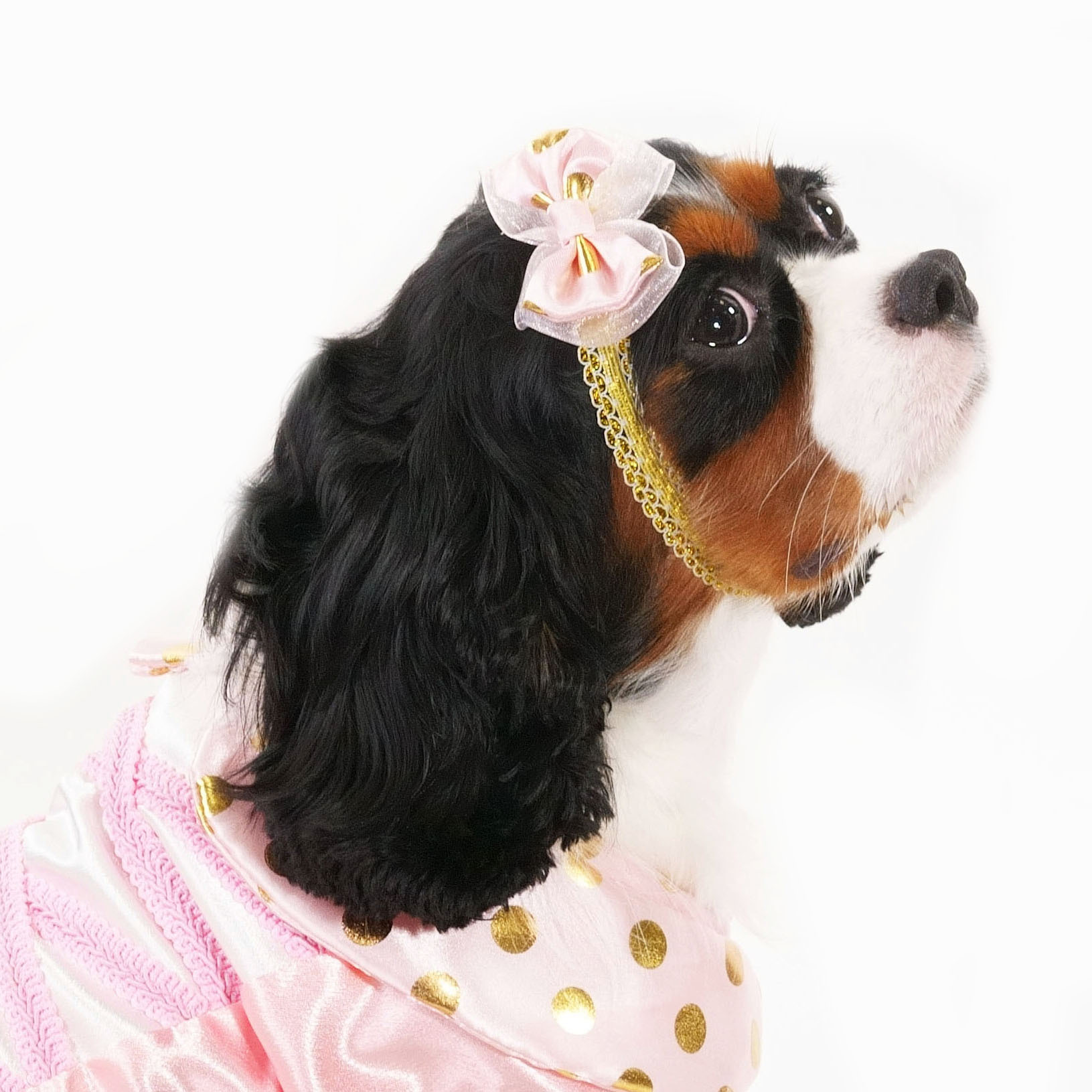 Golden Dot Pink Princess Headband