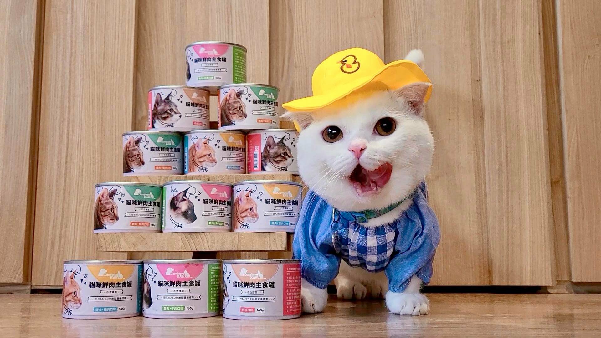 卡尼貓咪純肉主食罐