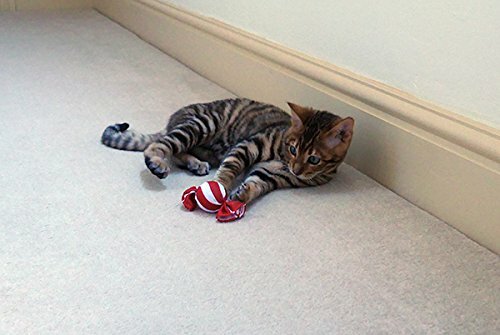 ROSEWOOD 聖誕3件裝貓玩具（內含貓薄荷）