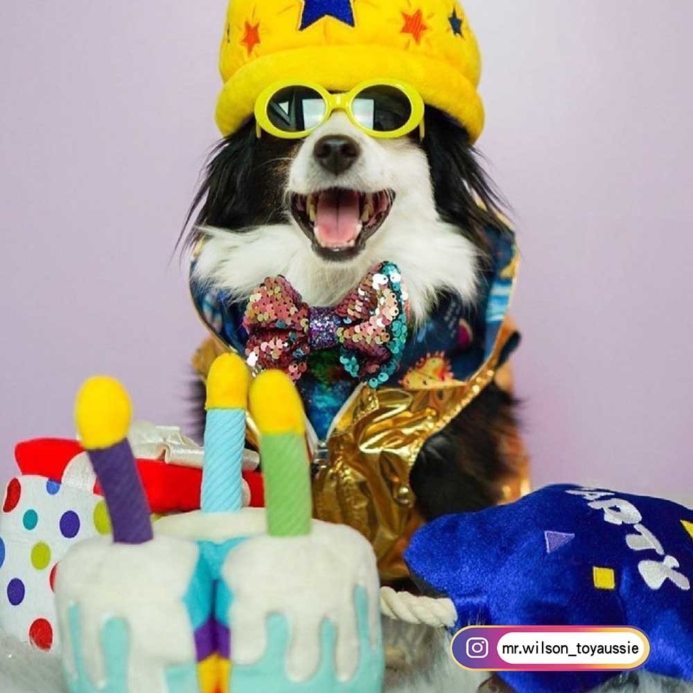 P.L.A.Y. 歡樂排隊系列 小狗蛋糕