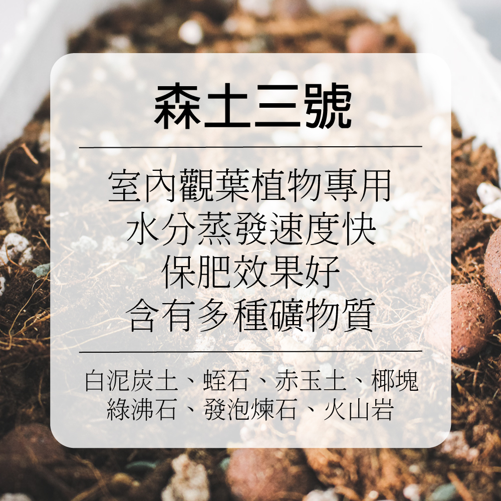 森土系列 香草植物 觀葉植物 室內植物 多肉植物 花卉 果樹全系列培養土