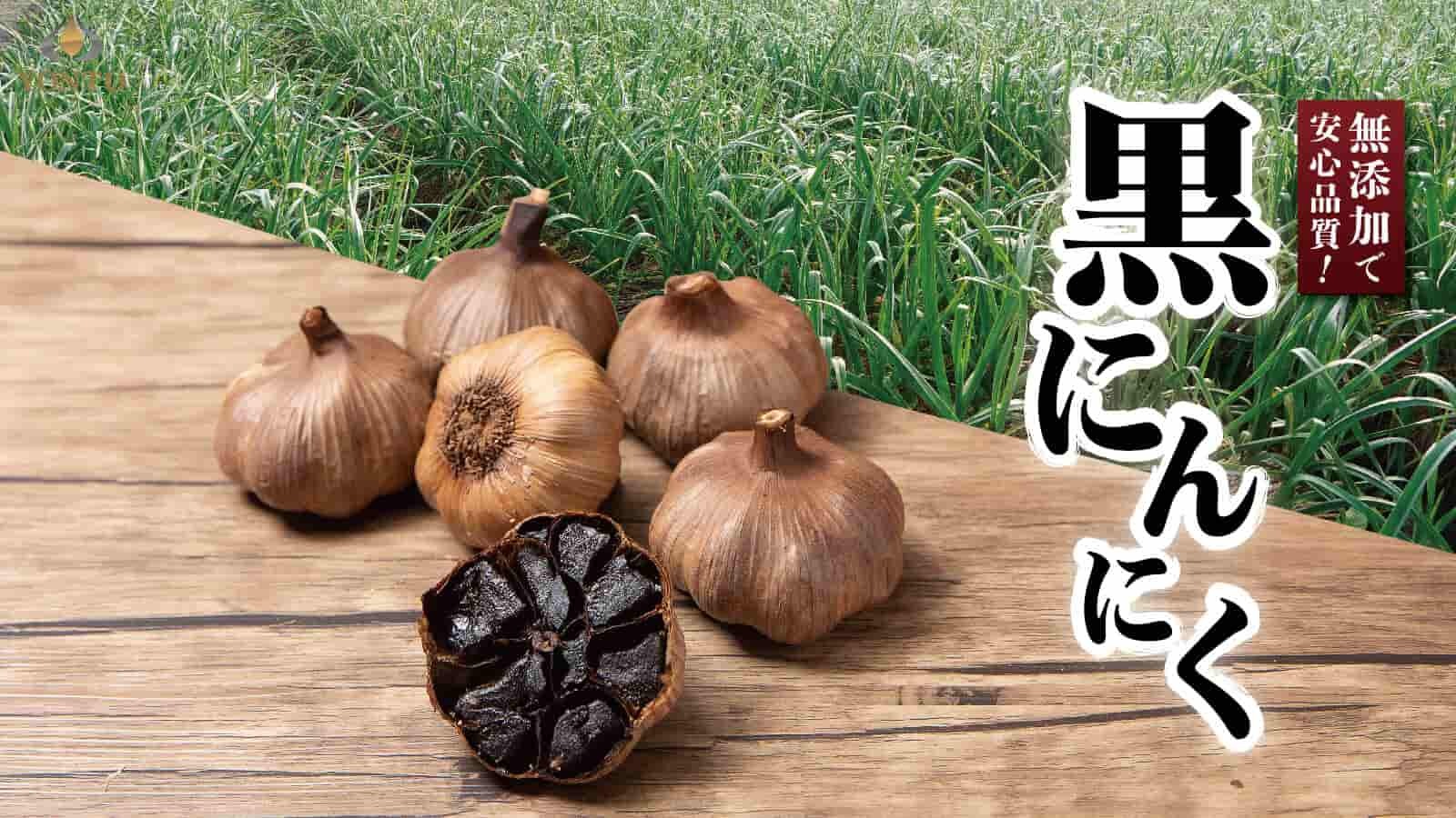 日本養生黑蒜頭