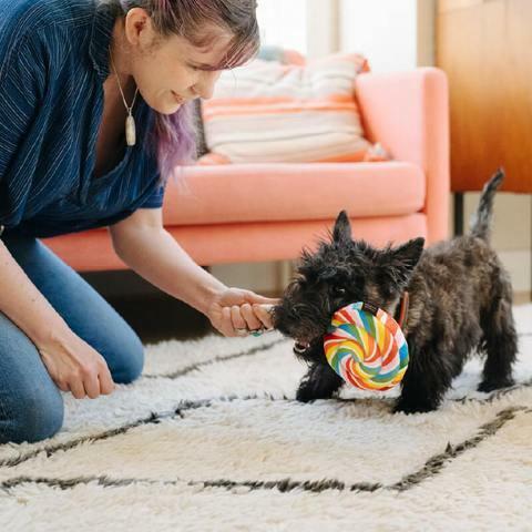 P.L.A.Y. -Sanck Attack-Lollipup