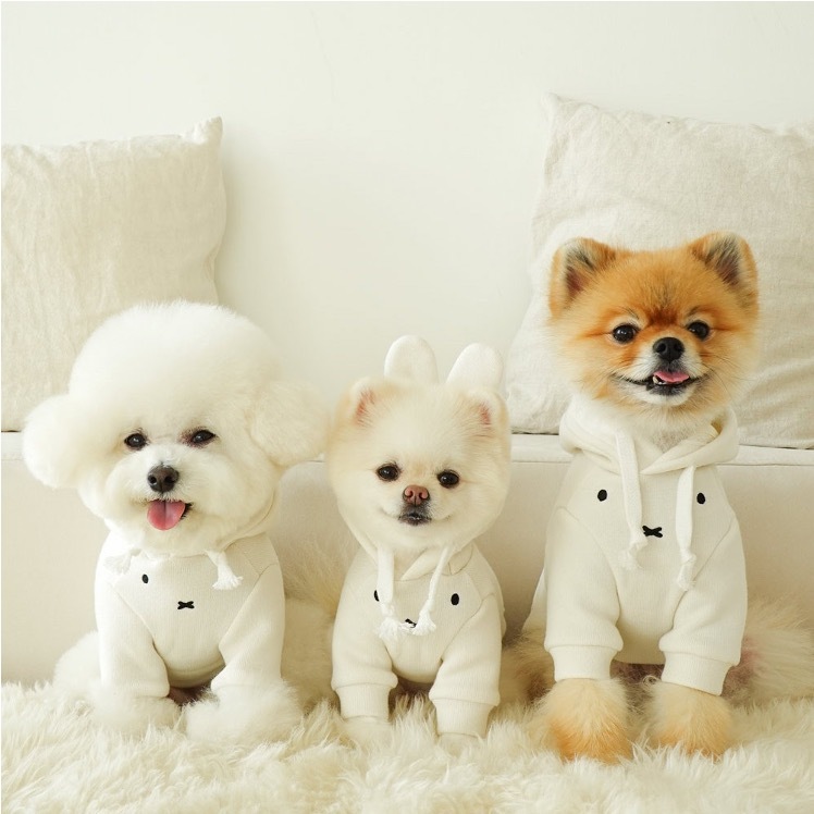 Noutti Miffy & Friends 大學帽衫（米白)