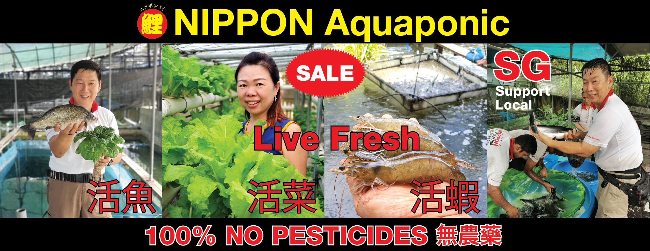 www.nipponkoifarm.com