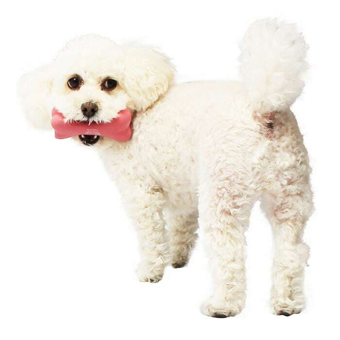 Mandarine Brothers 骨頭玩具