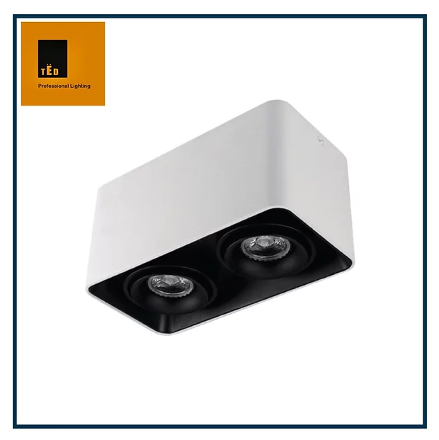 TED  SDg- 07004 盒仔燈  圓邊 孖頭 (白/黑/外白內黑)