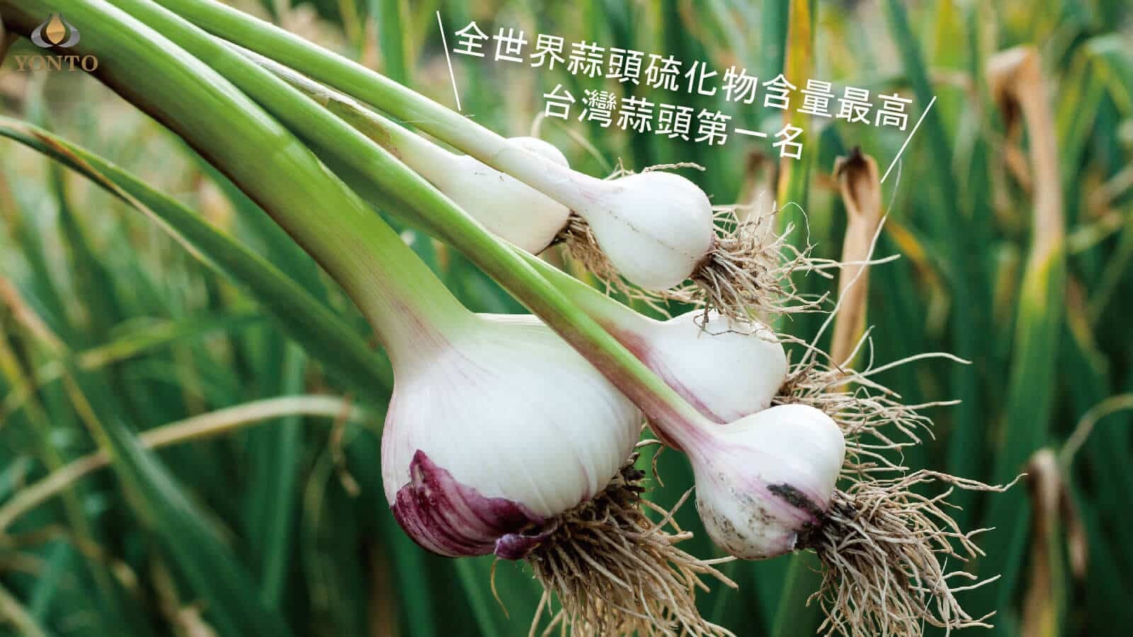 詠統黑蒜頭的製作使用台灣在地蒜頭,做出最好的黑蒜頭