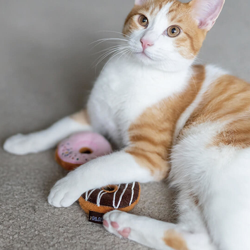 P.L.A.Y 狂野貓咪系列 巧克力甜甜圈