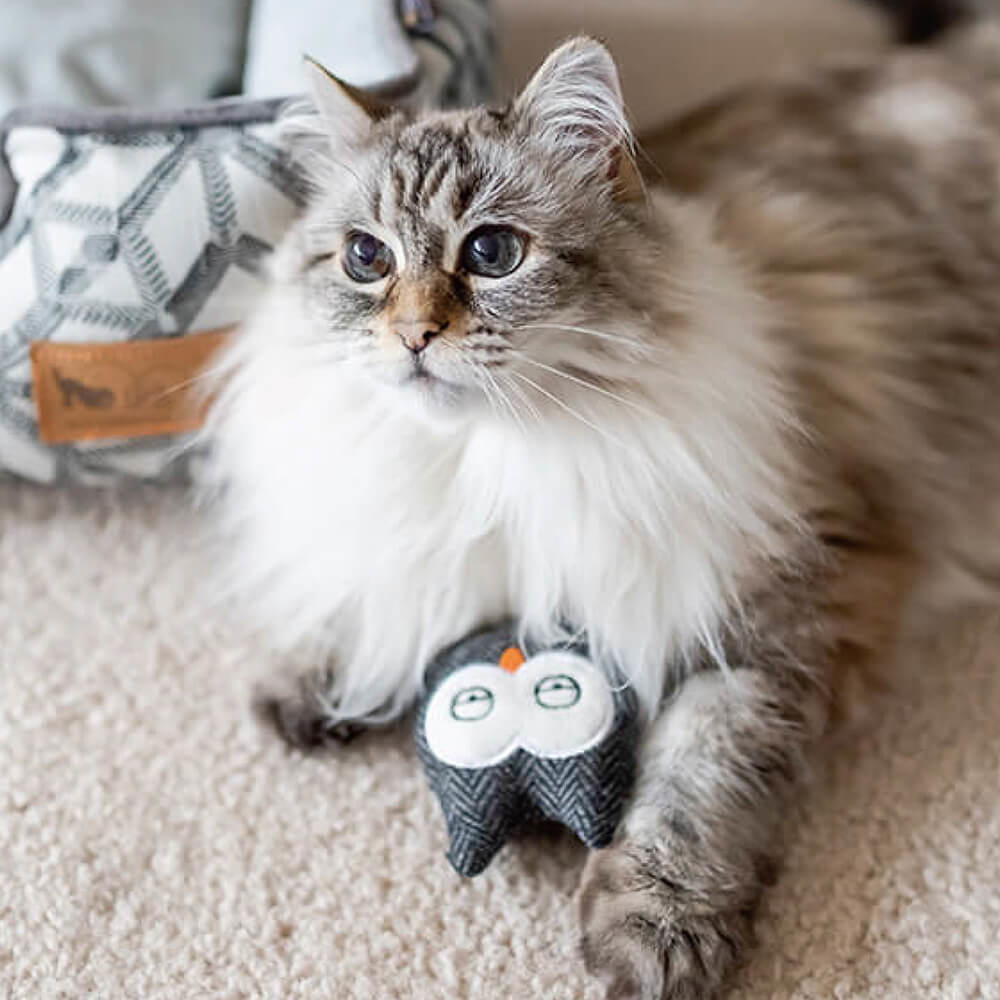 P.L.A.Y 狂野貓咪系列 貓頭鷹