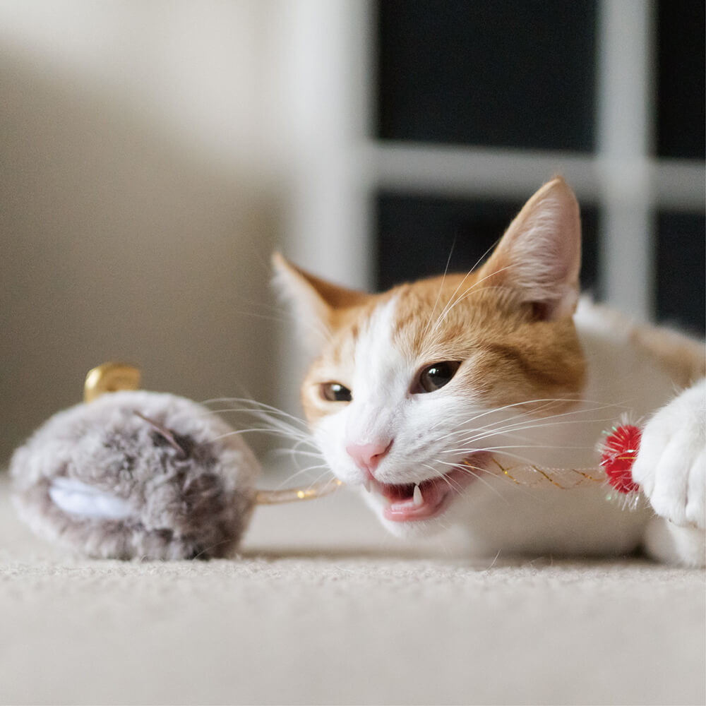 P.L.A.Y 狂野貓咪系列 Twice as Mice