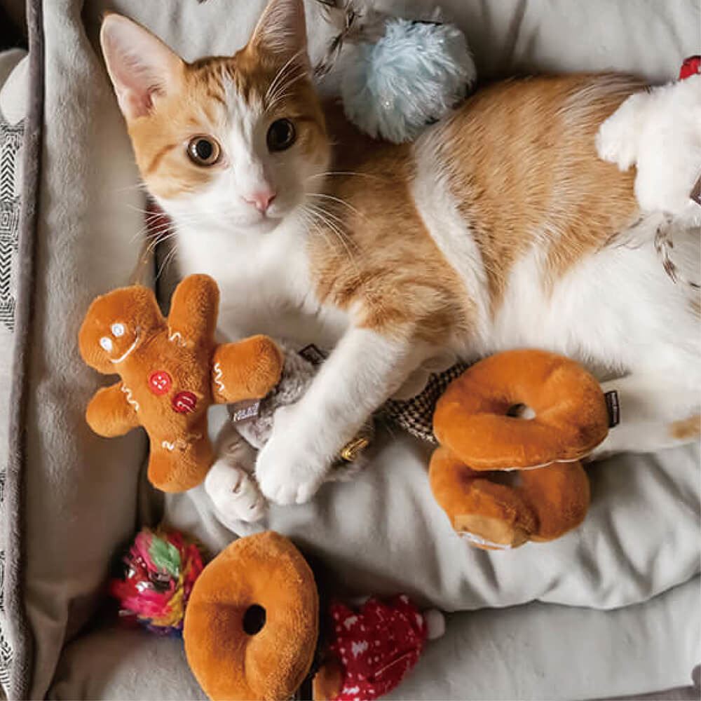 P.L.A.Y-Meowy Christmas