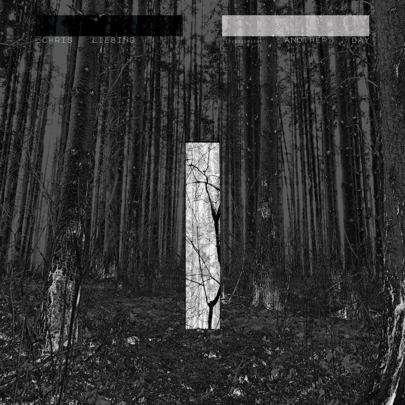 Chris Liebing《Another Day》（CD）
