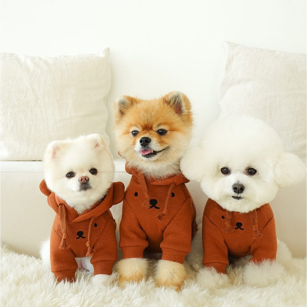 Noutti Miffy & Friends 大學帽衫（咖啡）