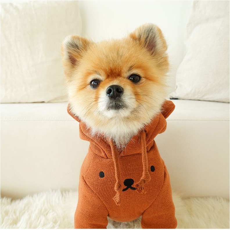 Noutti Miffy & Friends 大學帽衫（咖啡）