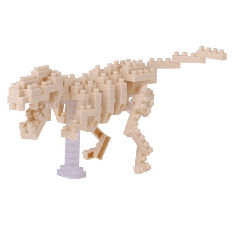 現貨｜Nanoblock 暴龍骨架 T-REX SKELETON