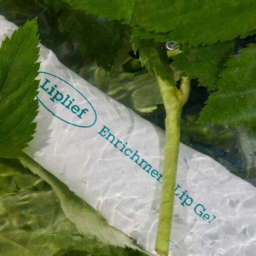 [ Liplief ] Enrichment Lip Gel