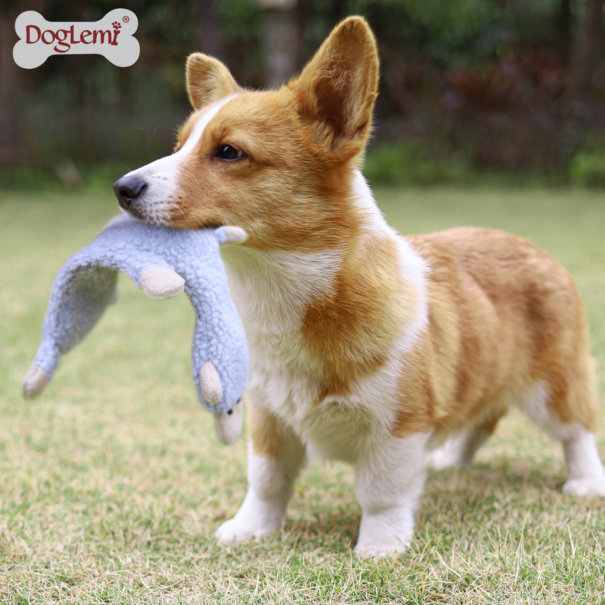 DogLemi 狗狗毛絨咀嚼玩具—羊駝