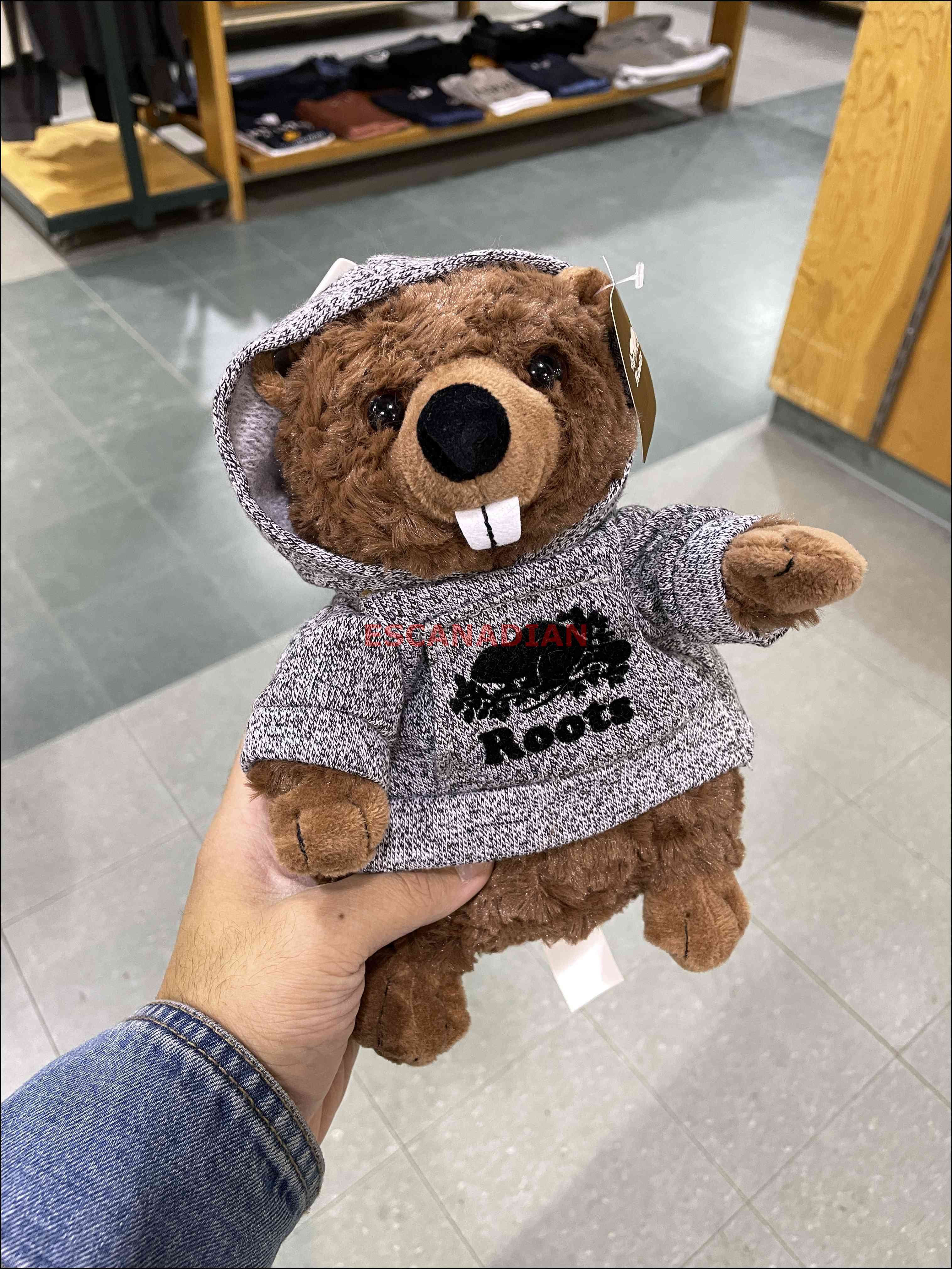 ROOTS 胡椒灰帽TEE 海狸寶寶