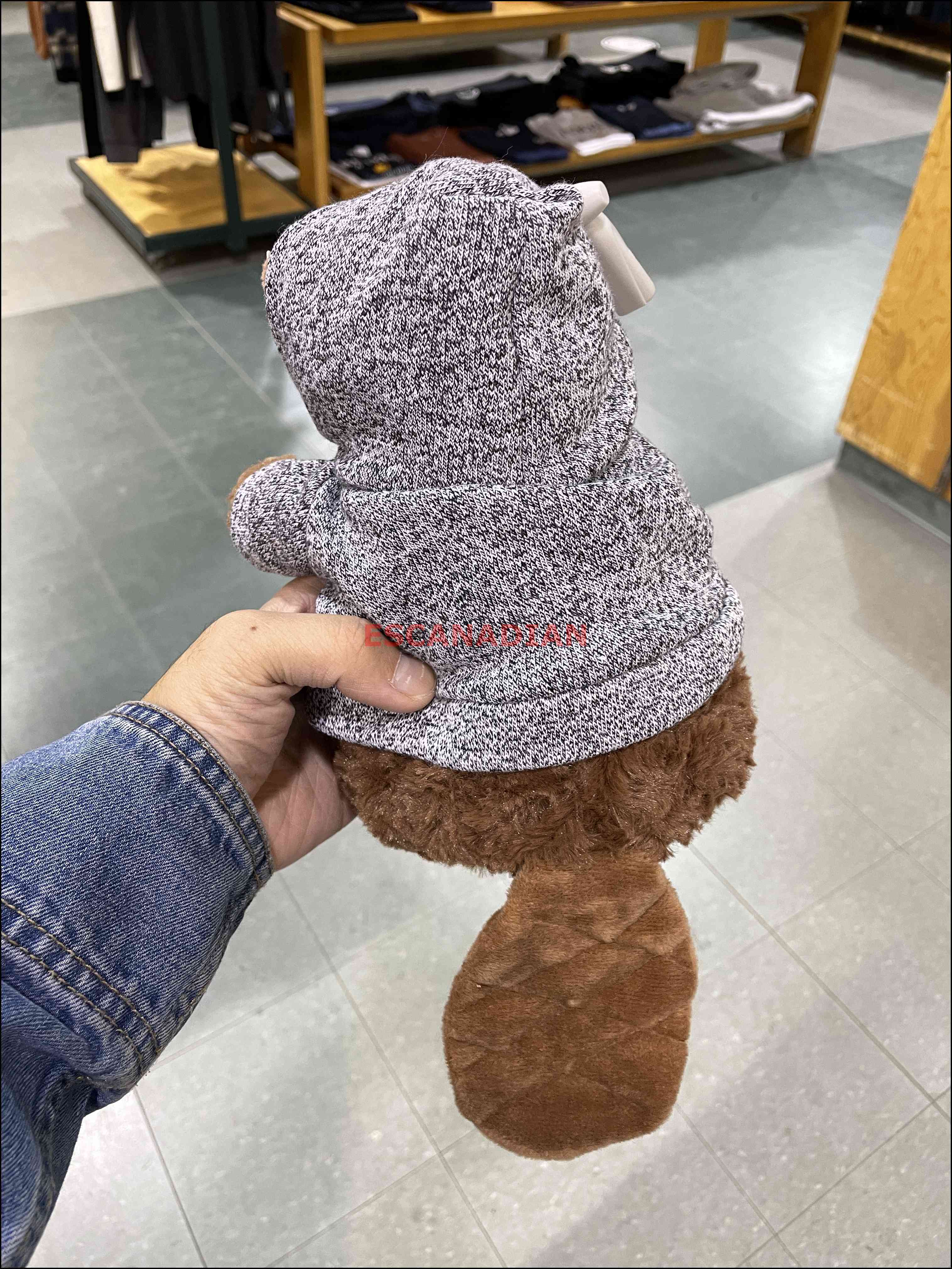 ROOTS 胡椒灰帽TEE 海狸寶寶