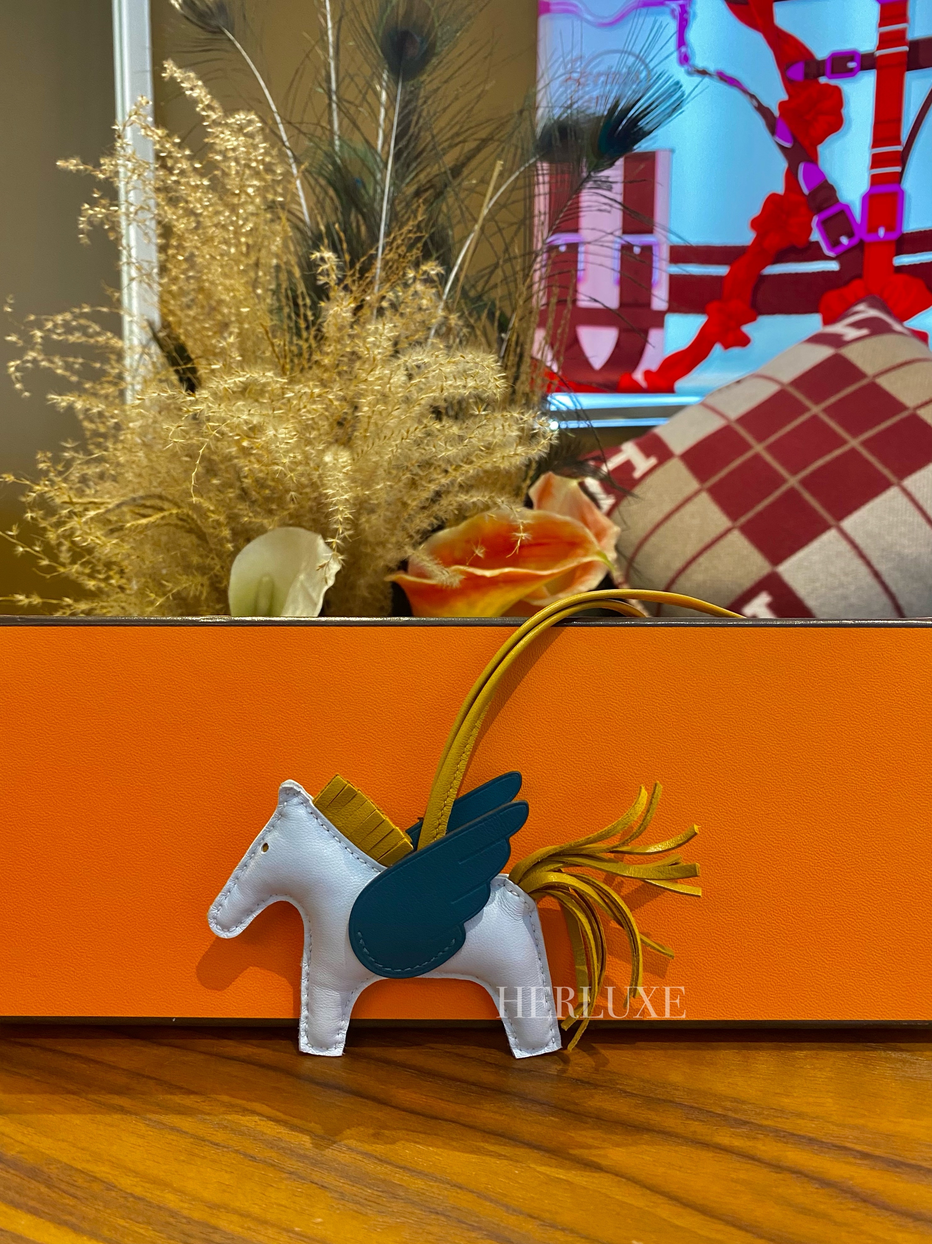 Rodeo pegase pm T0 blue brume