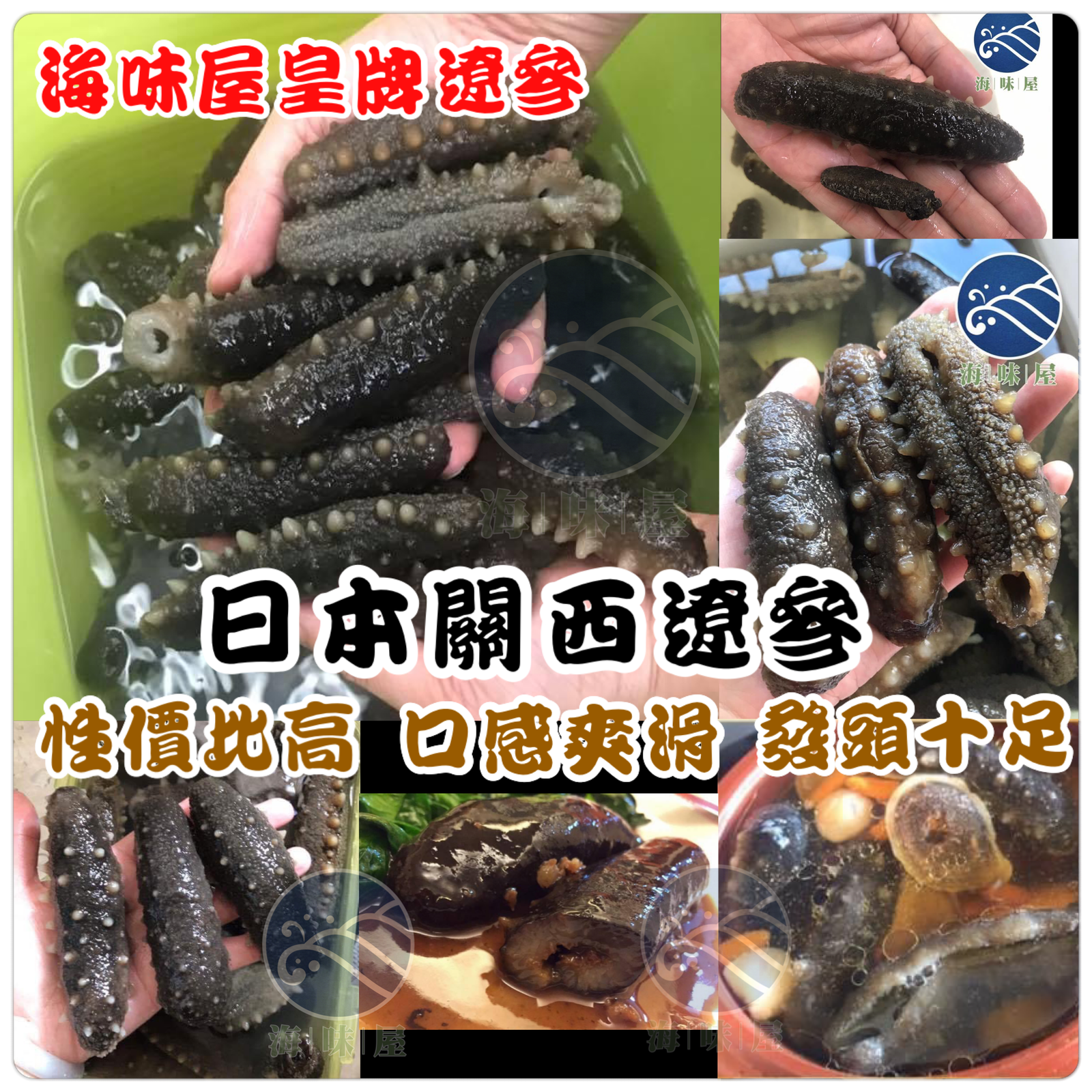 130頭日本關西遼參 (二両)