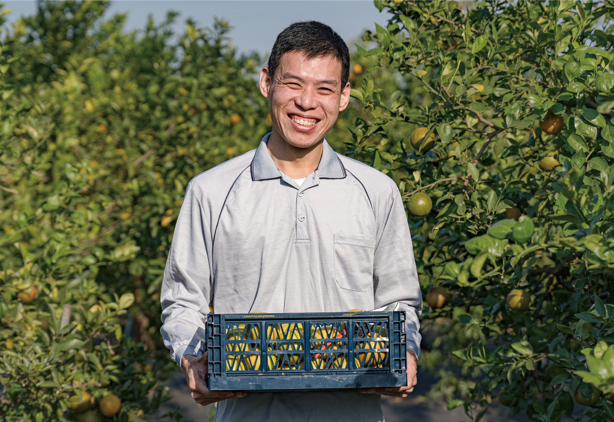 HOKAS 專業修枝剪